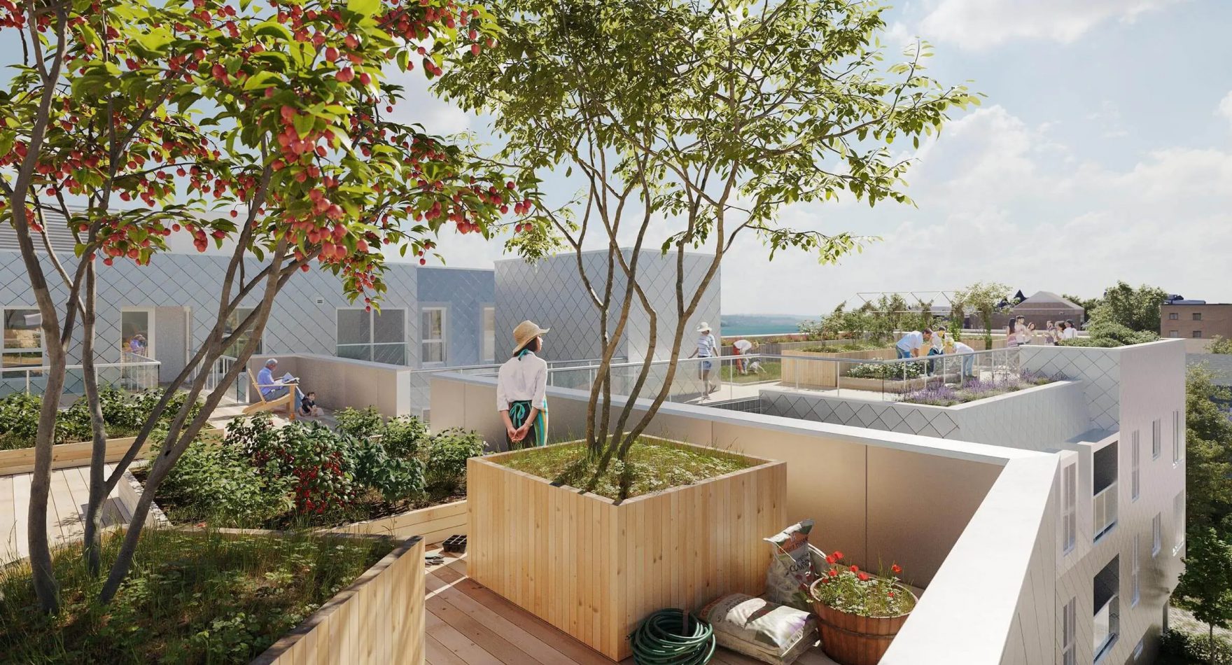 Un jardin sur le toit présente des jardinières en bois surélevées, des arbres feuillus et des personnes qui s'occupent des plantes sous un ciel ensoleillé, avec des bâtiments modernes et un paysage lointain en arrière-plan.